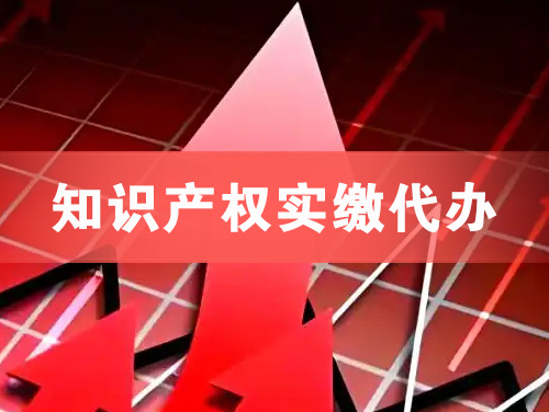 天长知识产权实缴资本代办